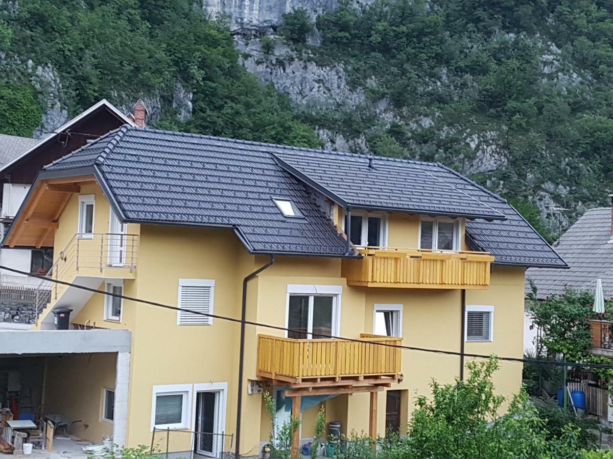 Apartmaji Zupan Bohinjska Bela Zewnętrze zdjęcie