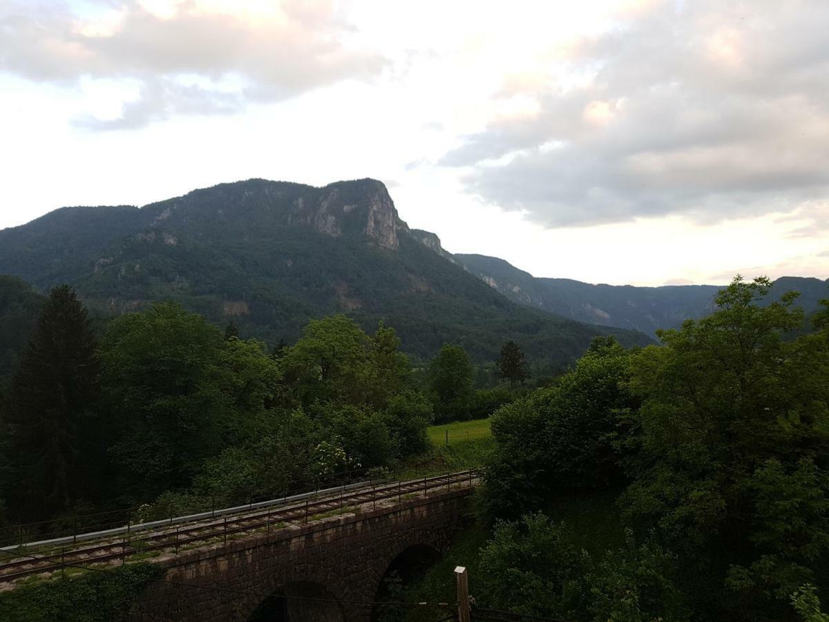 Apartmaji Zupan Bohinjska Bela Zewnętrze zdjęcie