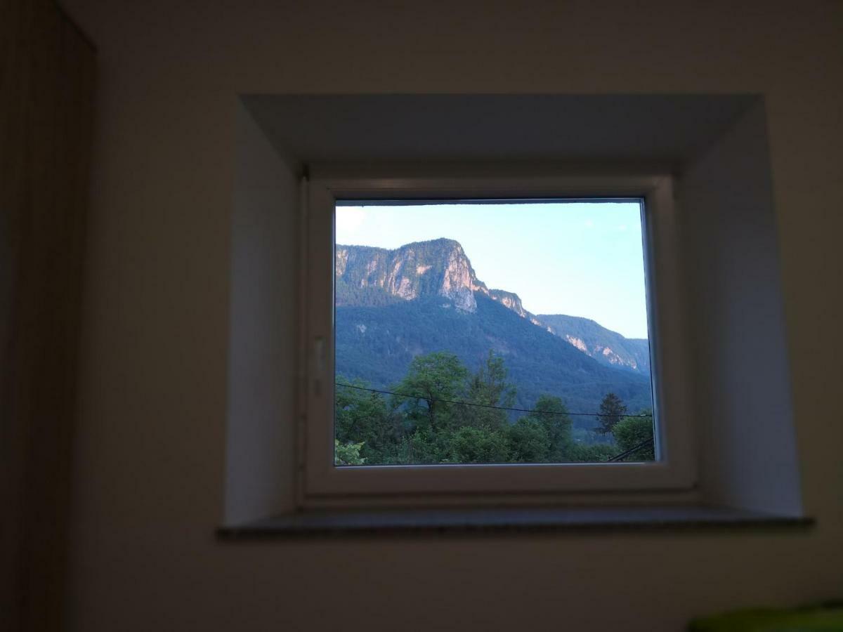 Apartmaji Zupan Bohinjska Bela Zewnętrze zdjęcie